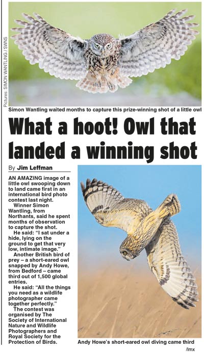 Daily Express - SINWP 2018 Bird Photographer of the Year