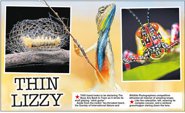 DAILY STAR - Nature's Surprises